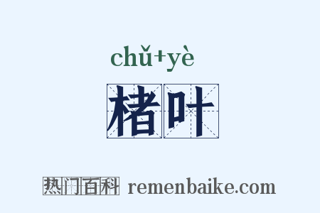 楮叶是什么意思的图片